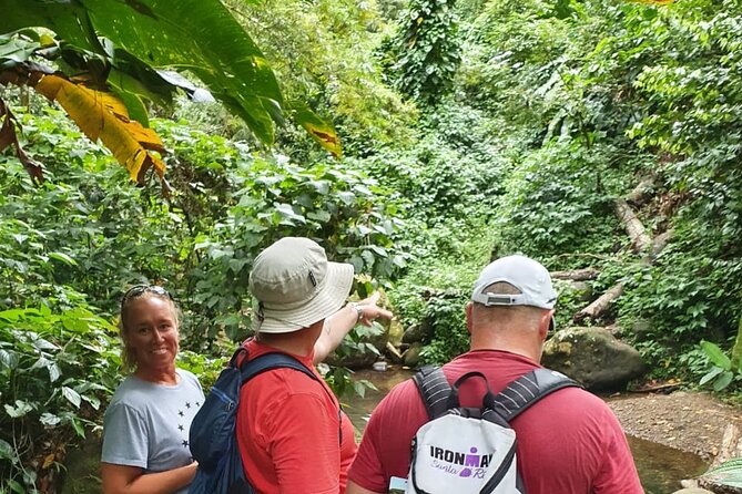Private Guided Grenada Island Tour "BY THE HOUR" - FAQ: Your Practical Questions Answered