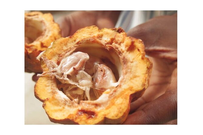 Half Day Private Island Adventure in Grenada - A Closer Look at the Itinerary