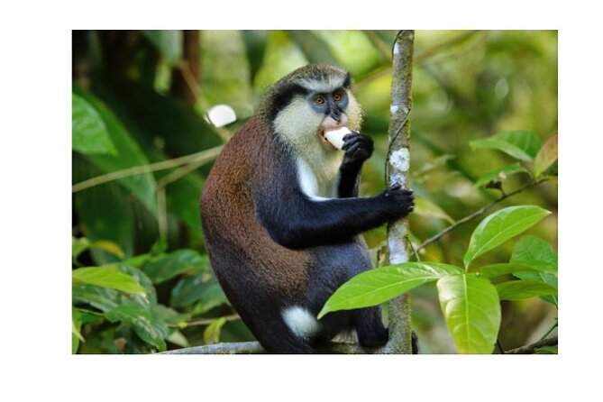 Half Day Private Island Adventure in Grenada - Final Thoughts