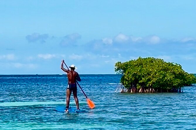 Day Lagoon 100% Sailing stops Snorkelling Paddle - FAQ