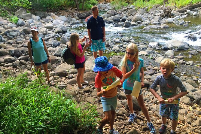 Explore Authentic Guadeloupe with a Local Multilingual Guide - A Deep Dive into the Guadeloupe Experience