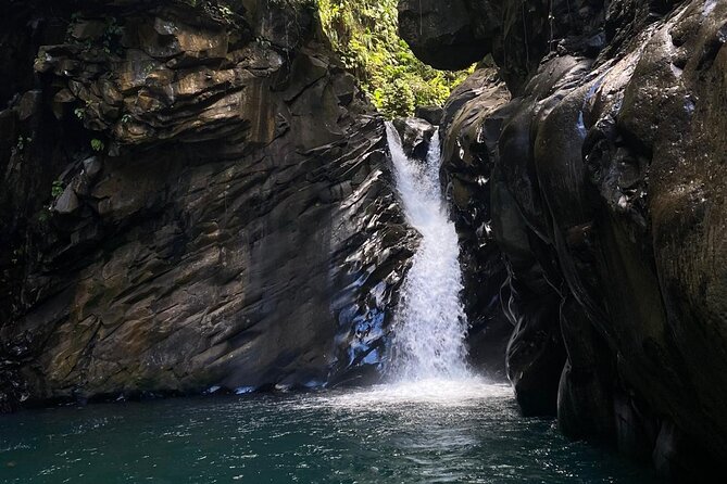 Explore Authentic Guadeloupe with a Local Multilingual Guide - Who Should Book This Tour?