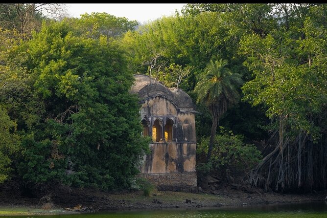 Ranthambore Safari Booking - What Reviewers Say