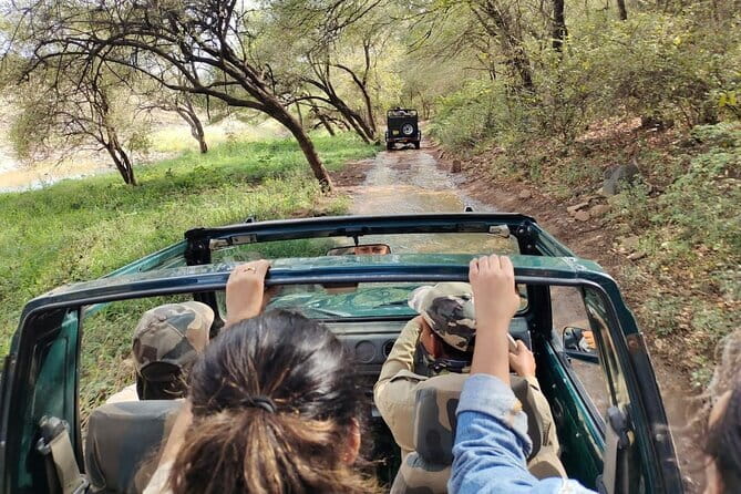 Tiger Safari in Ranthambore national park | Canter Options - The Sum Up