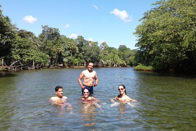 Private Tour to the Yungas Coroico The Death Route from La Paz - FAQs