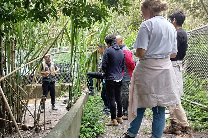 Private Tour to the Yungas Coroico The Death Route from La Paz - Final Thoughts