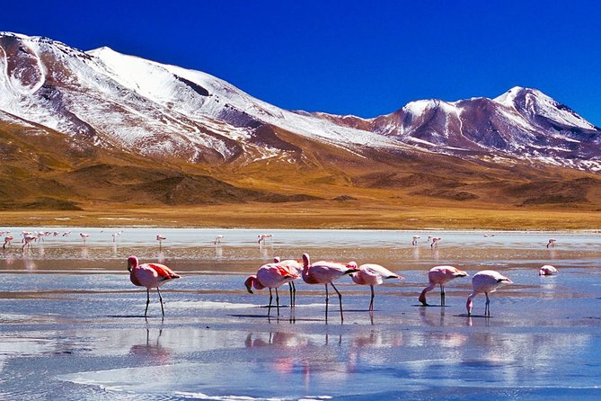 Uyuni Salt Flats - FULL DAY - La Paz - Uyuni - La Paz - The Itinerary in Detail: What You Can Expect