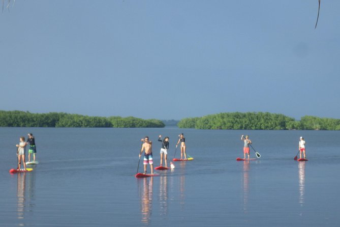 Stand up paddle in paradise - Key Points