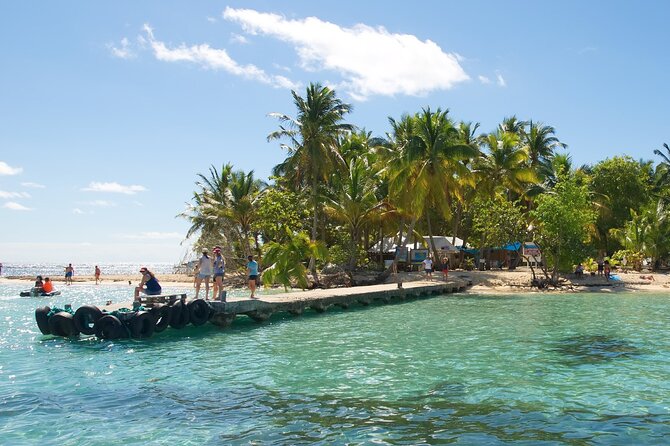 Pointe à Pitre City Tour, Island Stopover, and Beach Breaks - Discovering Guadeloupe: A Closer Look at the Pointe-à-Pitre City Tour with Beach Breaks