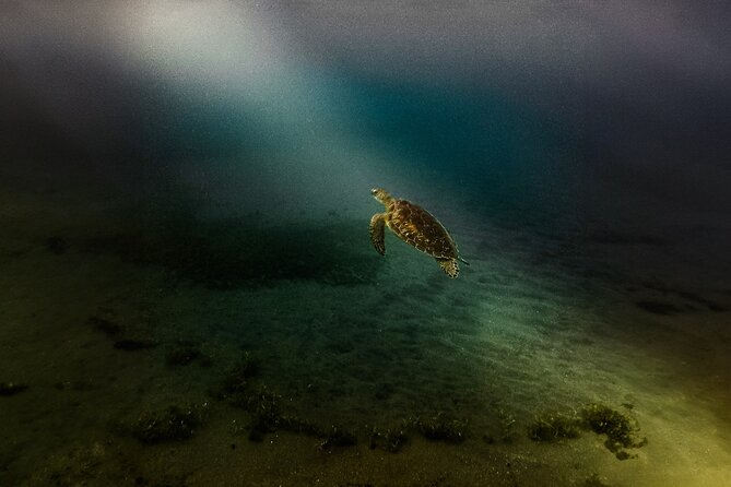 Full Day Tour of Guadeloupe - Who Should Consider This Tour?