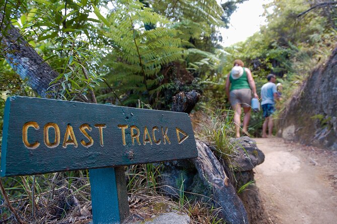 Kayak & Pitt Head Nature Loop - Guided Kayak & Unguided Walk - New Zealand - The Sum Up