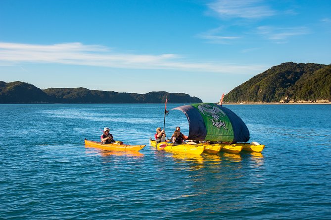 Lock, Stock & 2 Smoking Paddles - An Adventure in Abel Tasman: What to Expect