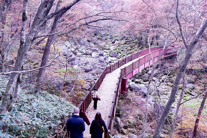 Cherry Blossom Tour in South Jeju Island & Tangerine Cafe - Final Thoughts