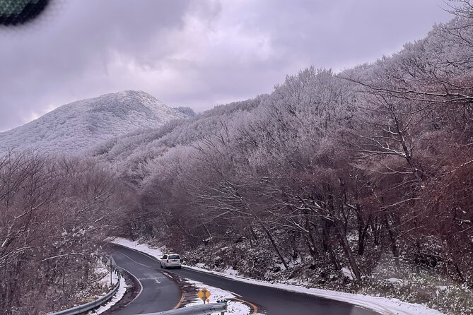 Jeju Island Snow Flower Tracking and Private Sledding Adventure - Practical Details and Tips