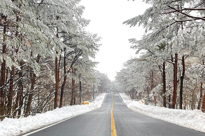 Jeju Island Snow Flower Tracking and Private Sledding Adventure - The Sum Up