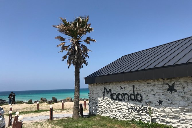 Jeju island: Van tour with a guide who the most loves JEJU - Final Thoughts