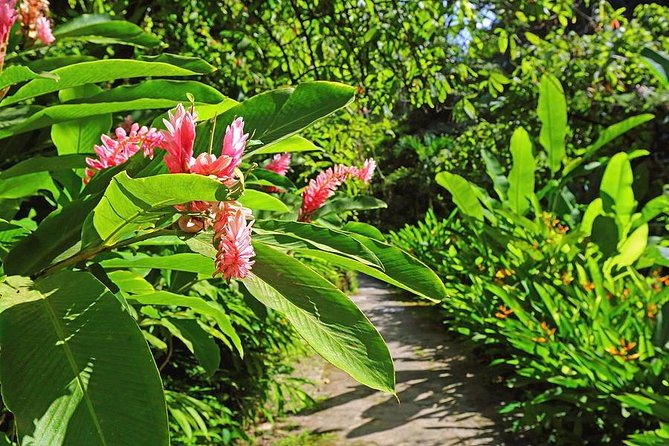 St. Lucia Botanical Gardens and Waterfall Tour Groups only - Discovering St. Lucia’s Natural Charm: The Botanical Gardens and Waterfall Tour