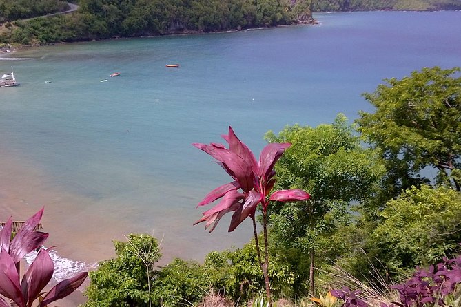 St. Lucia Tet Paul Nature Trail Tour - The Sum Up: Is the Tet Paul Nature Trail Tour Worth It?