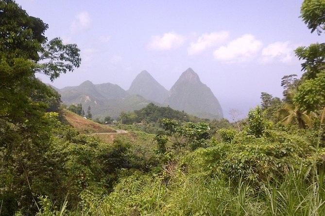 St. Lucia Tet Paul Nature Trail Tour - St. Lucia Tet Paul Nature Trail Tour: A Balanced Look at Nature, Views, and Local Culture