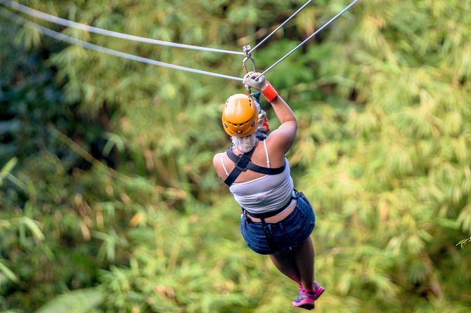 Treetop Zipline Experience From Castries - What Travelers Say