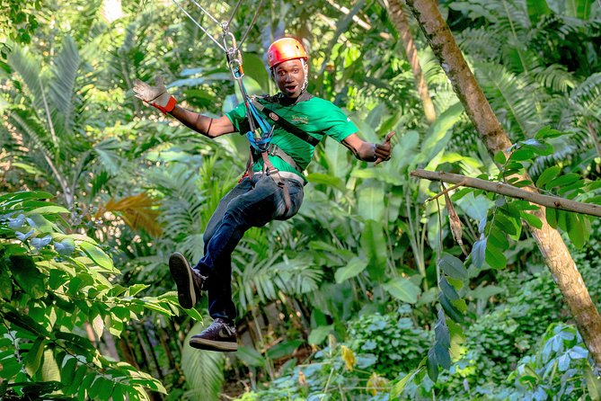Treetop Zipline Experience From Castries - FAQs