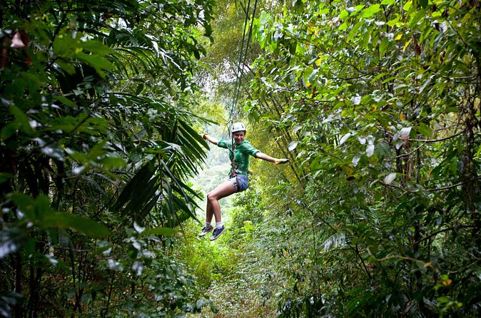 Treetop Zipline Experience From Castries - The Sum Up: Who Is This Experience Best For?