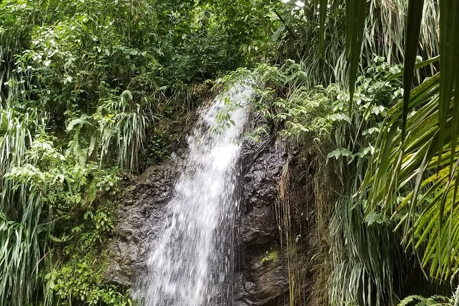 Sulphur Springs Tour - Who Should Consider This Tour?