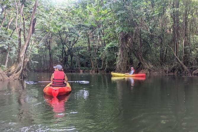 Splash Adventure Jeep and Kayak Safari - Authentic Feedback from Travelers