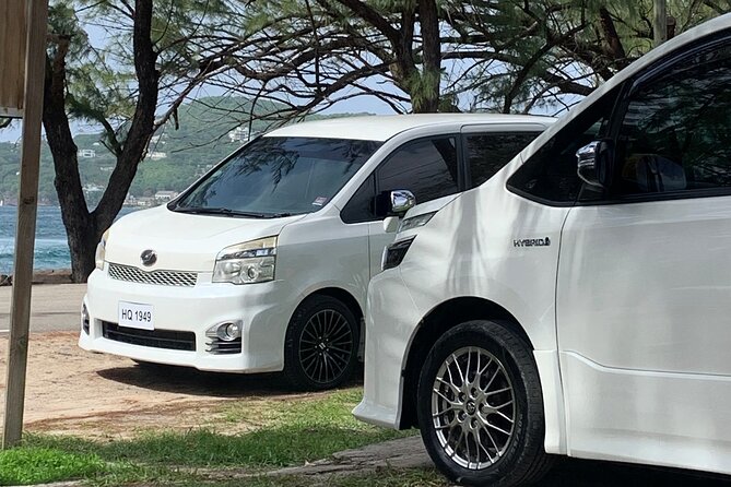 St Lucia Bamboo Rafting Experience (+Rum Tasting) - Value and Pricing