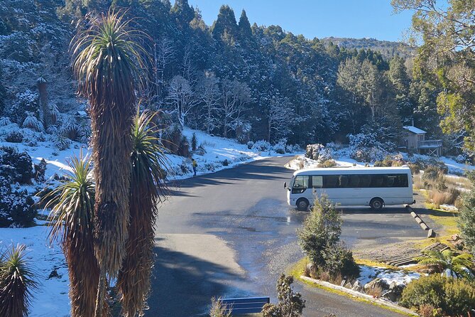 Cradle Mountain Half Day Park Explorer Tour with Lunch - What to Expect on the Cradle Mountain Half Day Tour