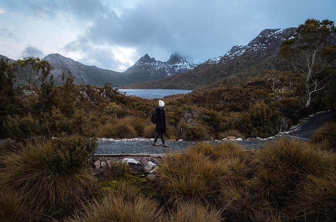 Cradle Mountain Half Day Park Explorer Tour with Lunch - Analyzing the Price and Overall Value