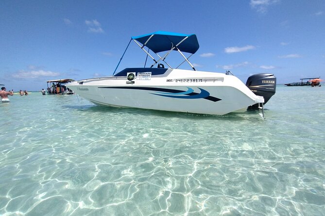 Boat Tour in Maragogi - Why It’s Worth It