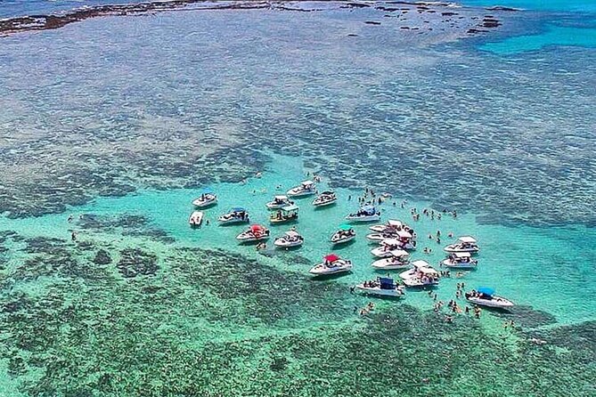 Boat Tour in Maragogi - Key Points