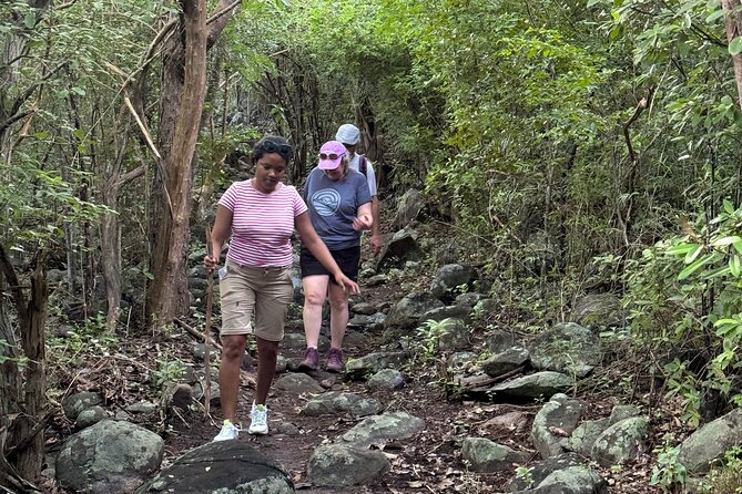 Mount Alma Hike And Beach Excursion (cruise ship friendly ) - The Sum Up