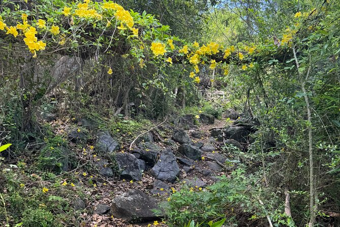 Mount Alma Hike And Beach Excursion (cruise ship friendly ) - FAQs