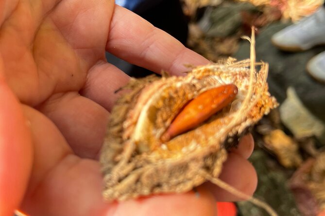 Brewers Bay Eco Hiking Tour - FAQ