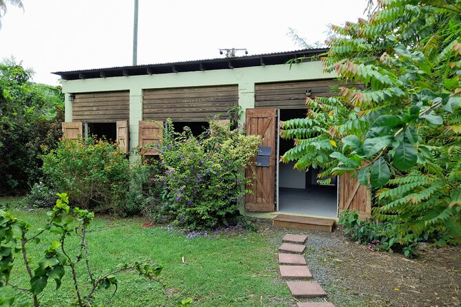 Private Pottery Experience at British Virgin Islands - The Sum Up