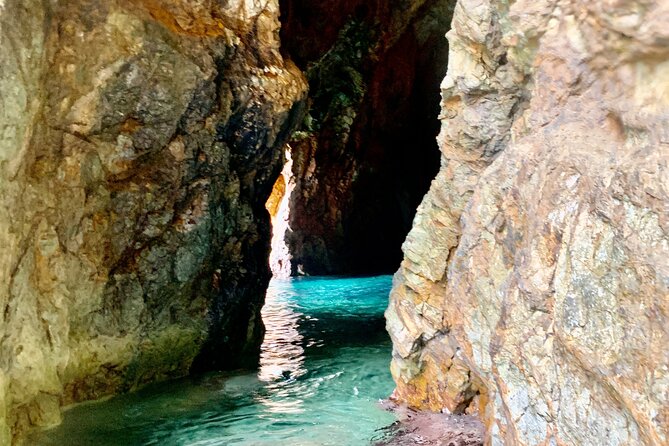 Family Snorkel Safari. Private boat! - Why This Tour Stands Out