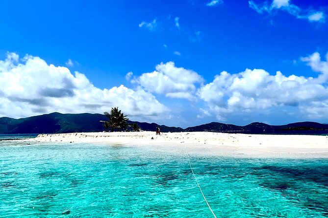 Family Snorkel Safari. Private boat! - Key Points