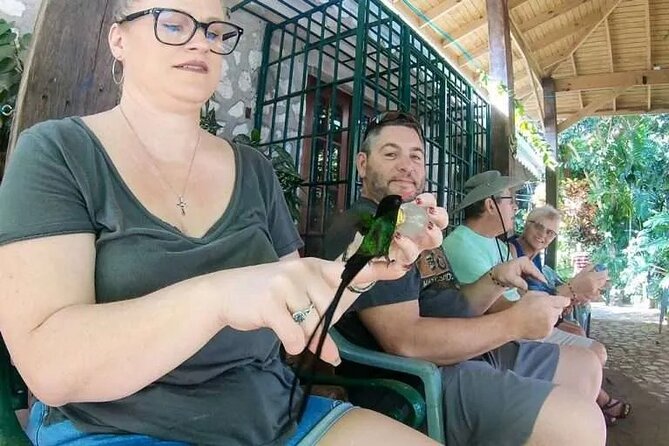 Rockland's Bird Sanctuary Tour from Montego Bay/ Falmouth - Who Should Consider This Tour?