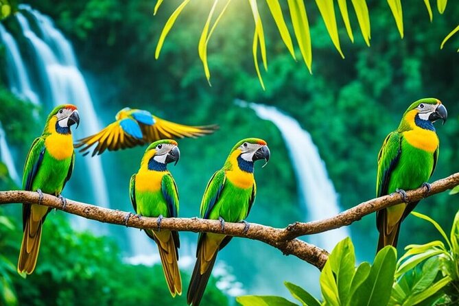 Rockland's Bird Sanctuary Tour from Montego Bay/ Falmouth - FAQ