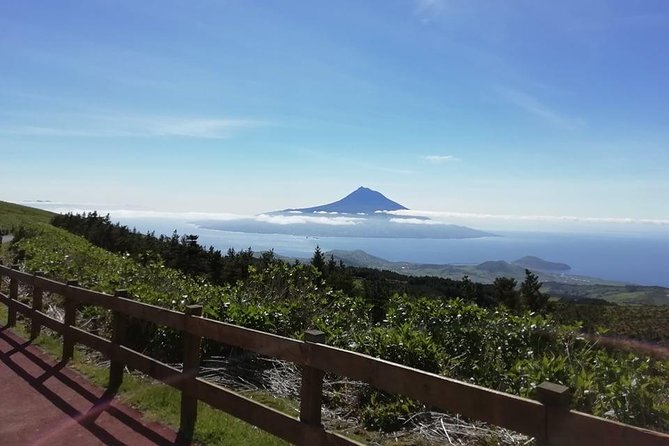 Half Day Tour  Natural Highlights of Faial Island - Who Should Book This Tour?