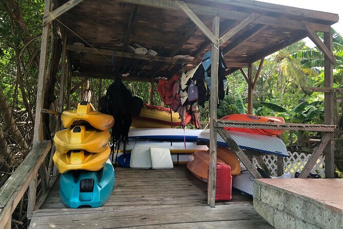 East Coast Private Island Day Trip Kayak & Picnic Experience - Practical Details and Considerations