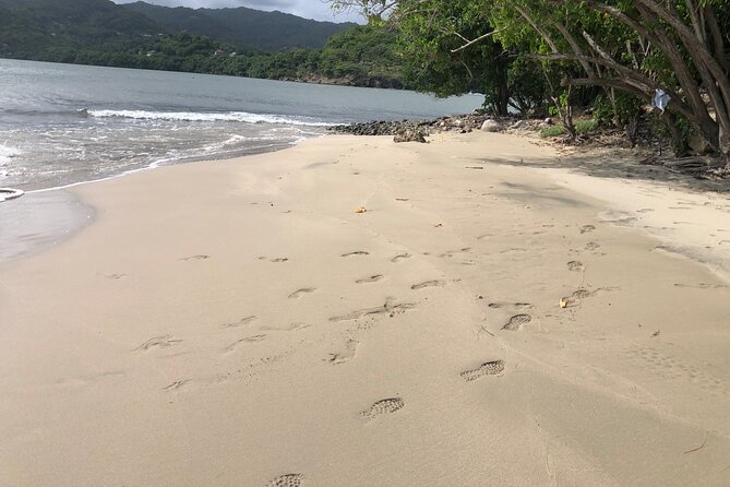 East Coast Private Island Day Trip Kayak & Picnic Experience - An In-Depth Look at the Experience