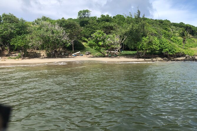 East Coast Private Island Day Trip Kayak & Picnic Experience - A Private Island Day Trip in St. Lucia: What to Expect