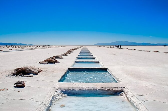 From Jujuy: Full-Day Tour to Salinas Grandes and Purmamarca - Key Points