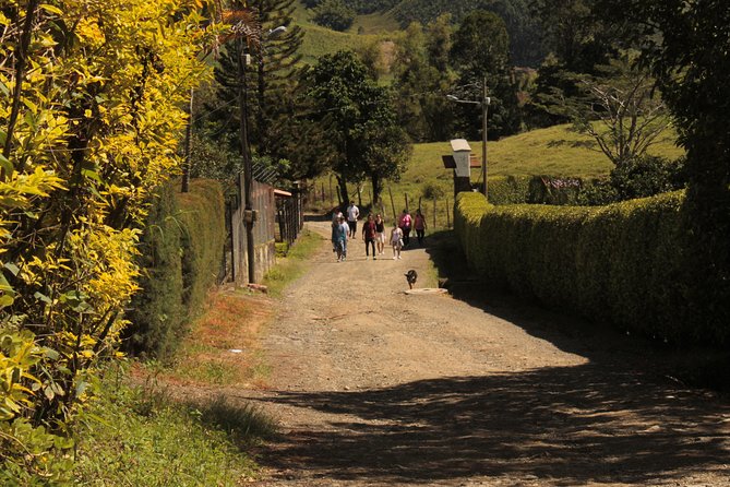 Love Tour - A Detailed Look at the Love Tour in Jardín