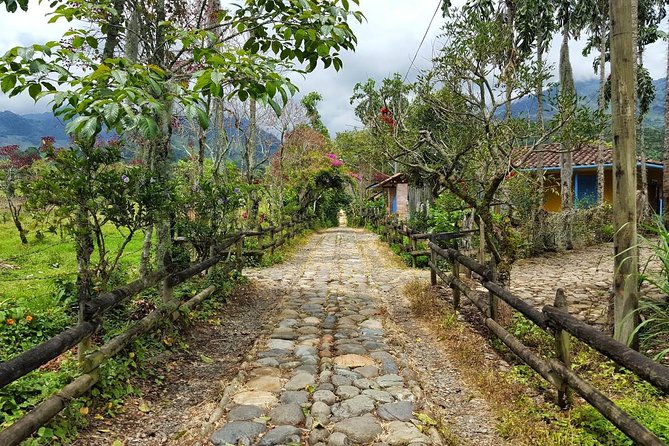 Love Tour - Key Points