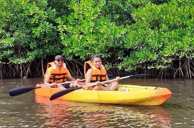 Kayaking Mangrove Adventure at Havelock - The Dive Into Nature: What to Expect from the Kayaking Mangrove Adventure