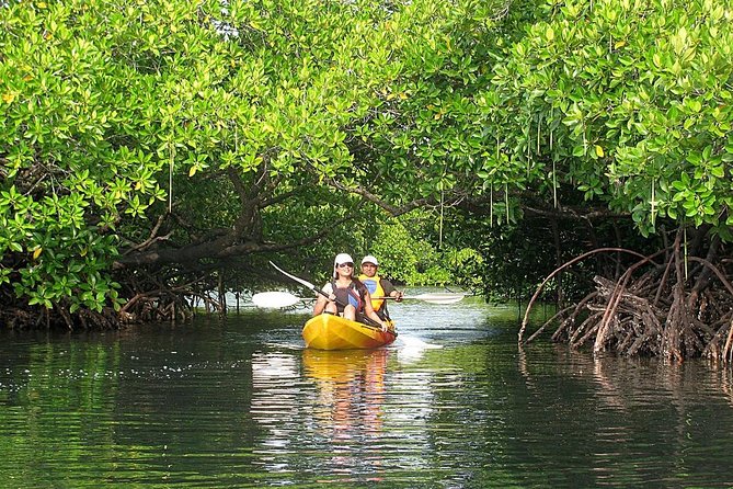 Kayaking Mangrove Adventure at Havelock - Who Is This Tour Perfect For?